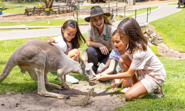 Currumbin Wildlife Sanctuary Tickets