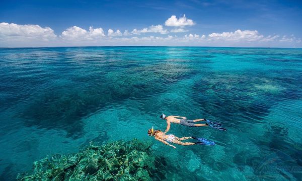 Great Barrier Reef + Green Island 1 Day Tour Combo