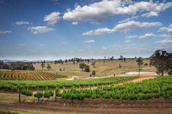 hunter-valley