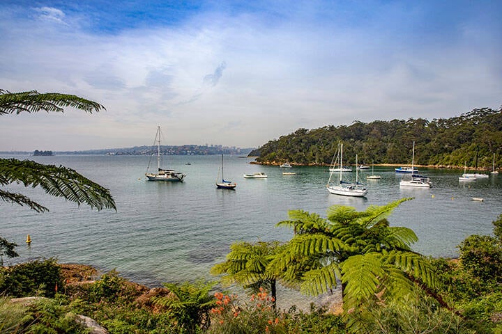 Bradleys Head to Chowder Bay Walk, Mosman