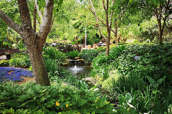 Picturesque scene of Roma Street Parkland in Brisbane surrounded by lush vegetation 