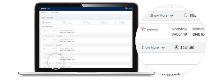 GSO interface screen showing option to select flights via radio button.